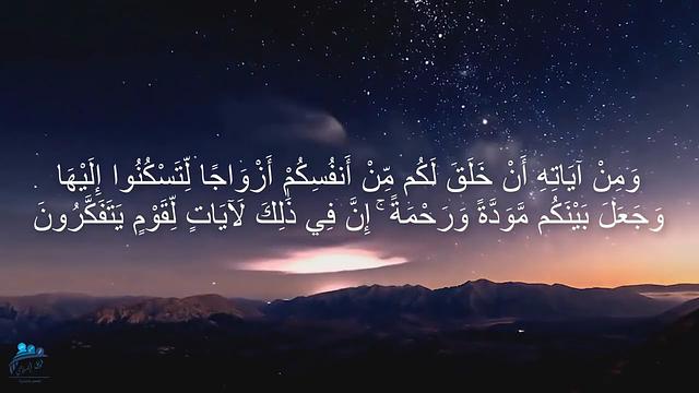 زواج 101 | عبد الرحمن ذاكر الهاشمي