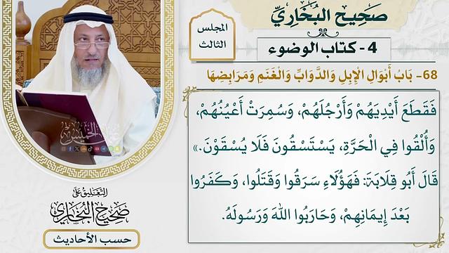 [233] حديث: قدم أناس من عكل أو عرينة فاجتووا المدينة فأمرهم[باب أبوال الإبل والدواب والغنم ومرابضها]