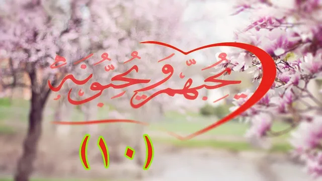 يحبهم ويحبونه (١٠) / الختام ..عش بقلب محب ...إبراهيم رفيق