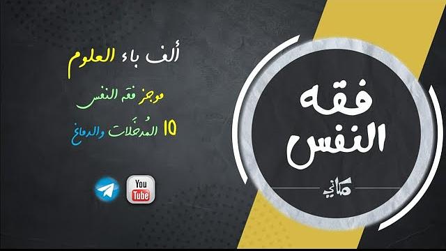 مجالس فقه النفس 010 | اقرأ 04 | المدخلات والدماغ