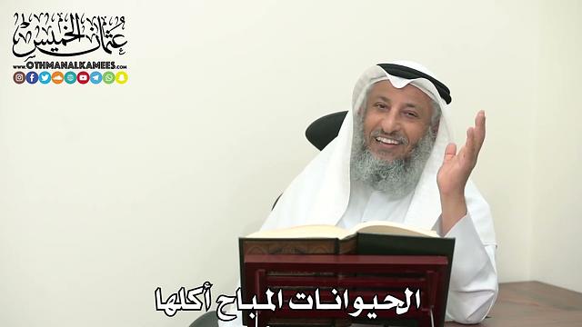 2480 - الحيوانات المباح أكلها - عثمان الخميس