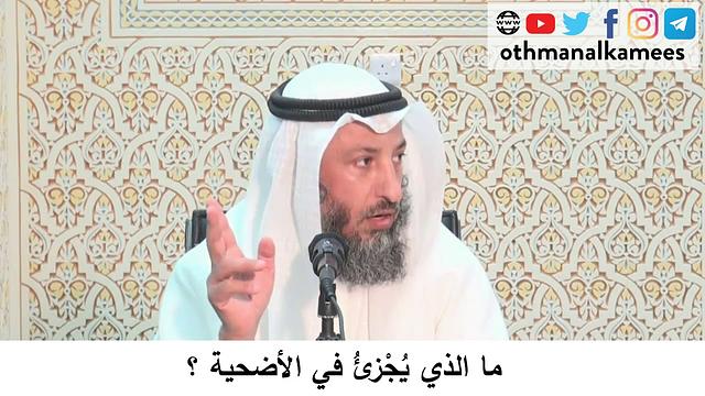 117- ما الذي يجزئ في الأضحية؟ / الشيخ عثمان الخميس