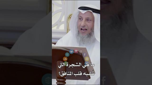 ما هي الشجرة التي تُشبه قلب المنافق؟ عثمان الخميس
