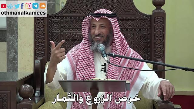 1084 - خرص الزروع والثمار - عثمان الخميس - دليل الطالب