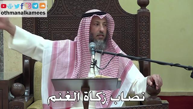 1058 - نصاب زكاة الغنم - عثمان الخميس - دليل الطالب