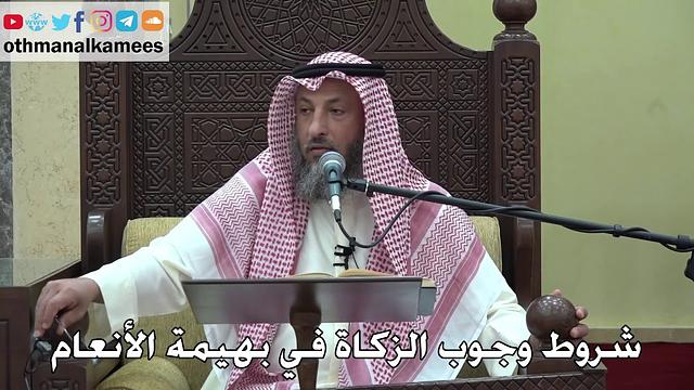 1055 - شروط وجوب الزكاة في بهيمة الأنعام - عثمان الخميس - دليل الطالب