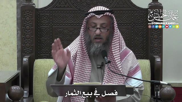 1404 - فصل في بيع الثمار - عثمان الخميس