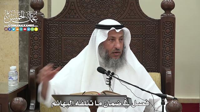 1573 - فصل في ضمان ما تتلفه البهائم - عثمان الخميس