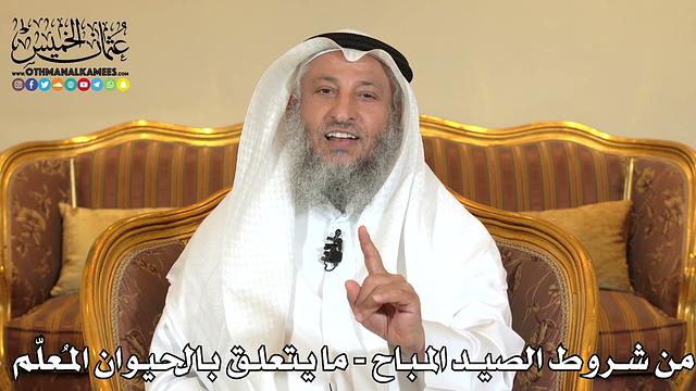 2495 - من شروط الصيد المباح - ما يتعلق بالحيوان المُعلّم - عثمان الخميس