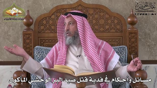 575 - مسائل وأحكام في فدية قتل صيد البر الوحشي المأكول - عثمان الخميس