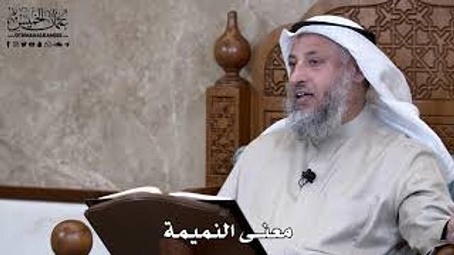 817 - معنى النميمة - عثمان الخميس