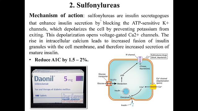 Diabetes drugs 2- older drugs