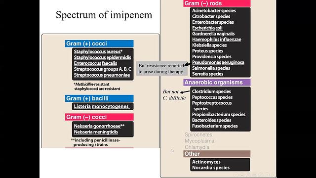 Carbapenems and Monobactams