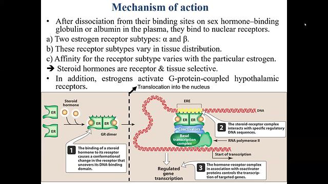 Gonadal Hormones and Antagonists 1-Estrogens