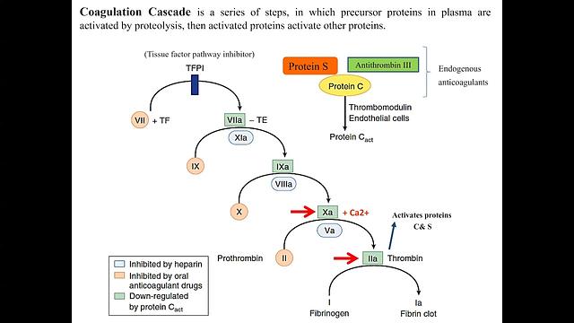 Anticoagulants 1-Introduction