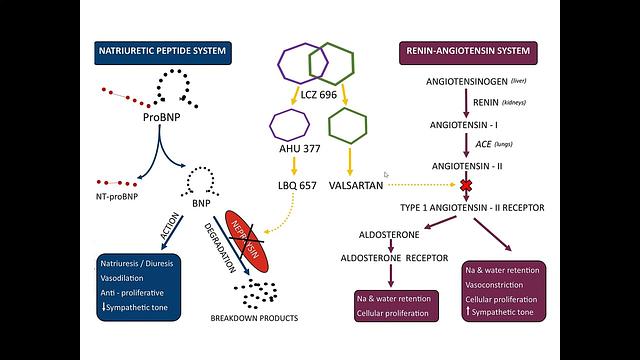 HF 6-New Drugs-ARNI, Ivabradine, Vericiguat