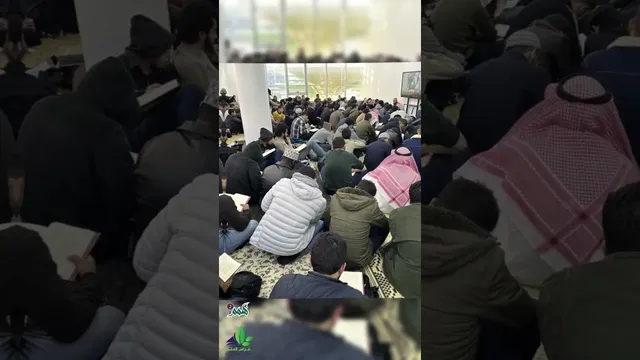 فاستعن بالله ولا تعجز، وليكن دَيدنك لا أبرح حتى أبلغ! 🤍
