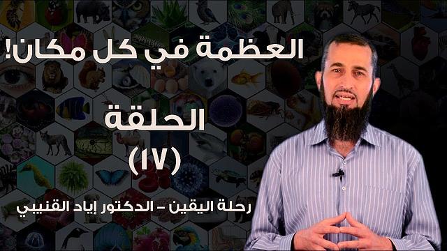 رحلة اليقين ١٧: العظمة في كل مكان