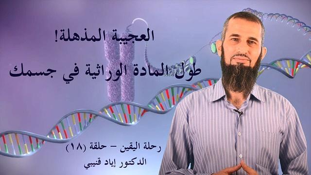رحلة اليقين ١٨: العجيبة المذهلة ! طول المادة الوراثية في جسمك
